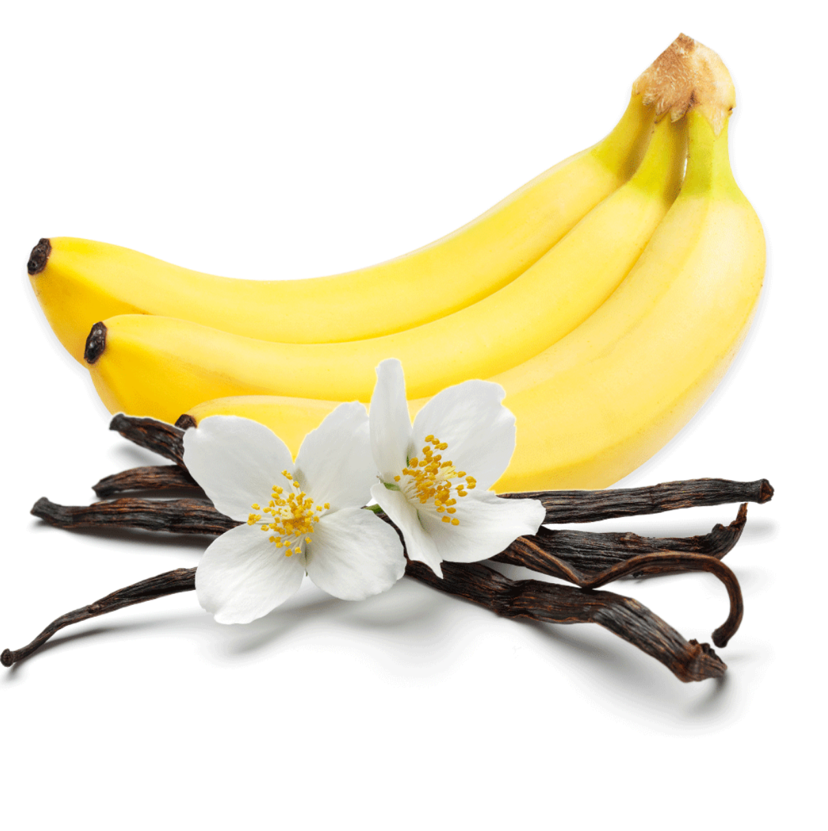 Floral Banana Body Oil